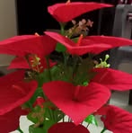 Betsy Roy - Facebook