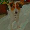 Betty Ruff - @betyyruff - TikTok