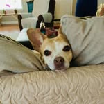 Betsy Ryan - @betsy_ryan00 - Instagram
