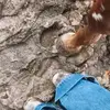 Betsy Ryans - @betsy.ryans - TikTok