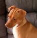 Betsy Ryder - Facebook