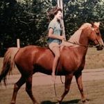Betsy (Steele) Schubbe - @betsyhunsuckerschubbe - Instagram