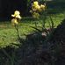 Betsy Marietta Sterner - Facebook