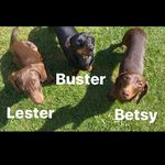 @busternbetsynlester - Instagram