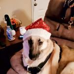 Betsy Taylor - @betsy.taylor.7967 - Instagram