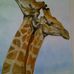 Betsy Thomson - Facebook