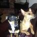 Betsy Truemper Upchurch - Facebook