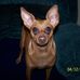 Betsy Tuttle - Facebook