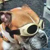 Betty Wade - @betty.wade6 - TikTok