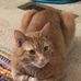 Betsy Waller - Facebook