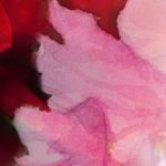 Betsy Ward Design - @betsywarddesign - Instagram