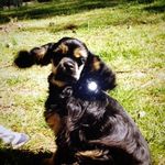 Betsy Ward-Hutchinson - @betsywardhutchinson - Instagram