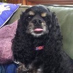 Betsy Ward Hutchinson - @betsywh728 - Instagram