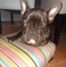 Betsy Warendorff - Facebook