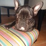 Betsy Warendorff - @betsywarendorff - Instagram