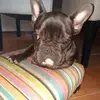betsywarendorff - @betsywarendorff - TikTok