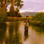 Betsy Warren - @ebwarren2009 - Instagram