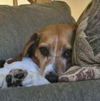 Betsy Carlisle Waters - Facebook