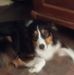 Betsy Waters - Facebook