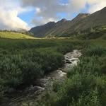 Betsy Watson - @blynnwatson - Instagram