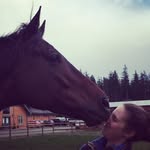 Betsy Webb - @btsywbb - Instagram
