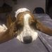 Betsy Webster - Facebook