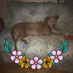 Betsy Diane Weeks - @betsyweeks6 - Instagram