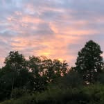 Betsy Willis - @betsywillis - Instagram