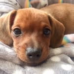 Betsy Willis - @life.ofbetsy - Instagram