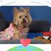 Betsy Winters-George - Facebook
