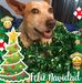 Betty Winter - Facebook