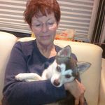 Bette Cook - @cook.bette - Instagram