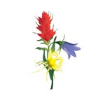 Betty Ford Alpine Gardens - @betty_ford_alpine_gardens - Instagram