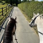 bette - @bettelloyd.eq - Instagram