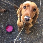 Betty Lyons - @betty_boo_lyons - Instagram