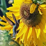 Betty Lyons - @blyons1951 - Instagram