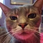 Betty Lyons - @ndncde - Instagram