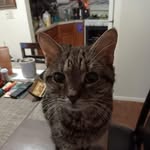 Betty Branch - @betty.branch.967 - Instagram