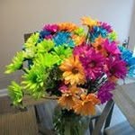 Betty Branch Welch - @bettywelch9743 - Instagram