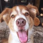 Betty Copeland - @betty.copeland - Instagram