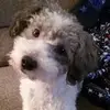 Betty Copeland Maceyko - @betty.copeland.ma - TikTok