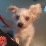 Betty McLaughlin - @betty.mclaughlin.3979 - Instagram
