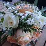 Betty Schultz - @bettyschultz.25 - Instagram