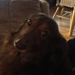 Betty Schultz - @schultzbetty - Instagram