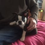 Betty Simpson - @bettysimpson4625 - Instagram