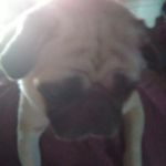 Betty Small - @betty.small.9883 - Instagram