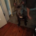 Betty Starr - @got2bcrazygrandma - Instagram