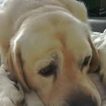 Betty Sutherland - @sutherland_betty - Instagram