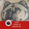 bettiewolf54 - @bettiewolf54 - TikTok
