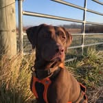 Betty Wolf Schmutzler - @bettyschmutzler - Instagram